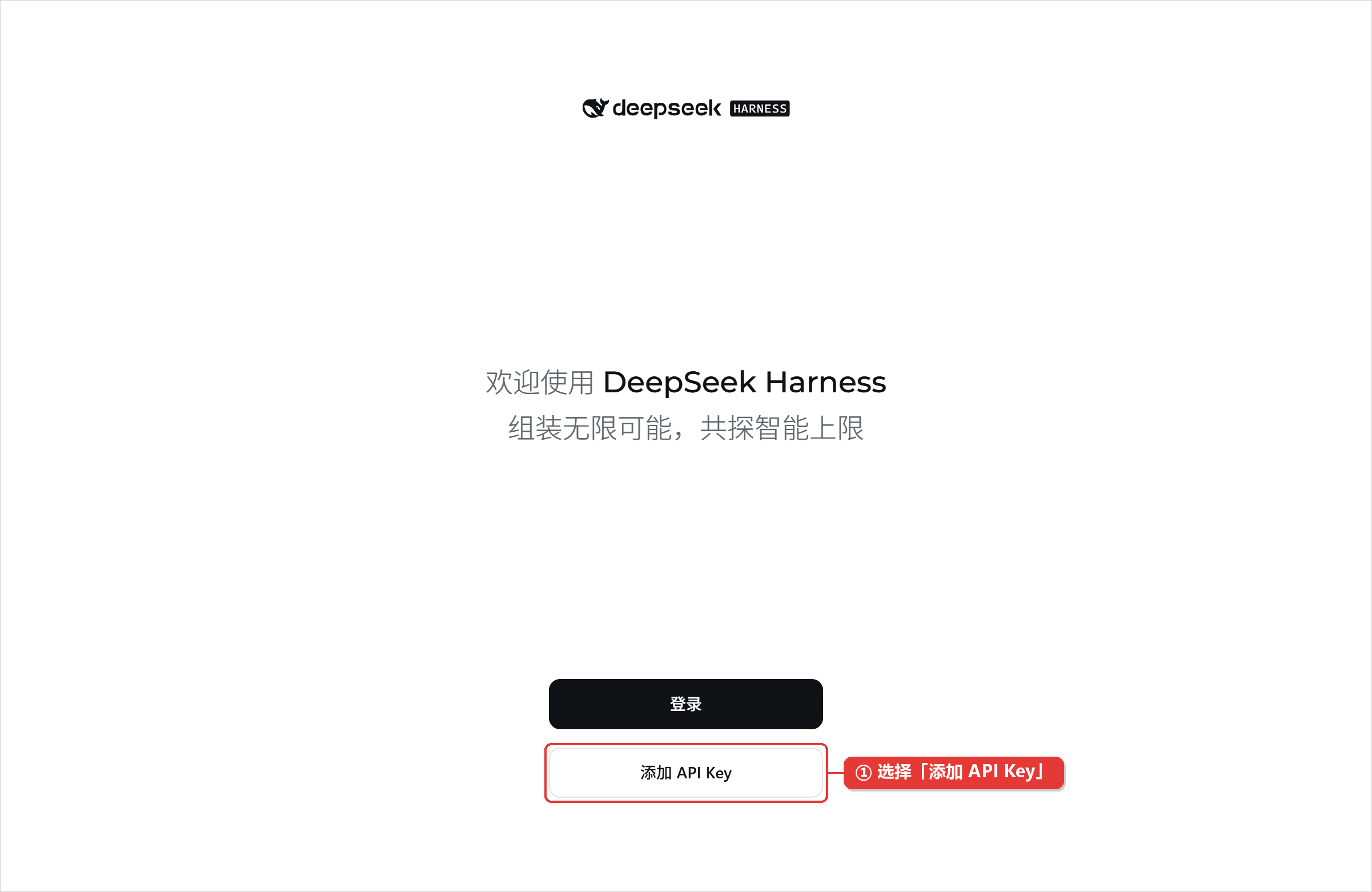 欢迎页选择添加 API Key